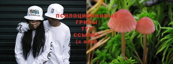 хмурый Алексин