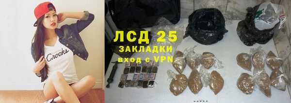 хмурый Алексин