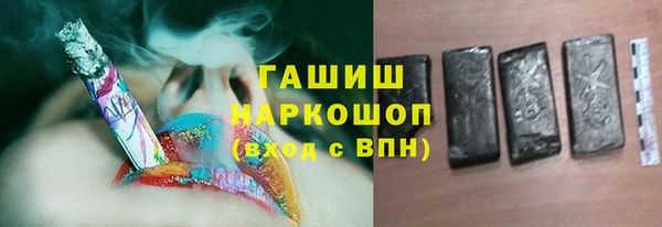 хмурый Алексин