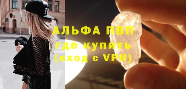 хмурый Алексин