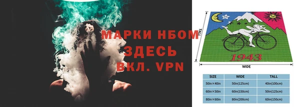 дмт Алзамай