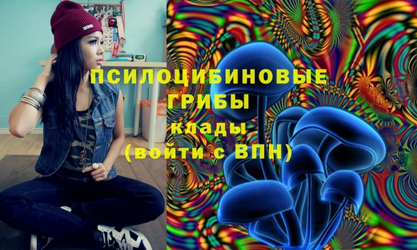 хмурый Алексин