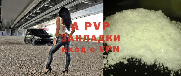 хмурый Алексин