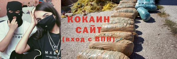 дмт Алзамай